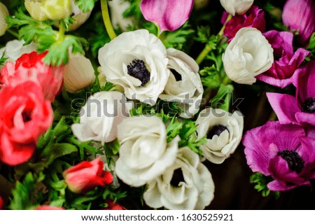 Beautiful bouquet of red, purple and white poppy with green leaves in the blurred background in the flower shop