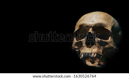Human skull of a skeleton in bone remains. Evolution and specie concept against a black background. Empty copy space for Editor's text. Royalty-Free Stock Photo #1630526764