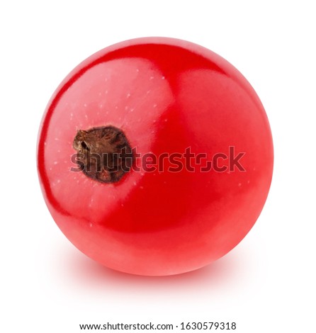 Closeup of red currant berry isolated on a white background.
