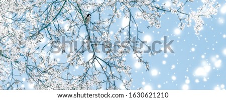 Branding, magic and festive concept - Christmas, New Years blue floral background, holiday card design, flower tree and snow glitter as winter season sale promotion backdrop for luxury beauty brand