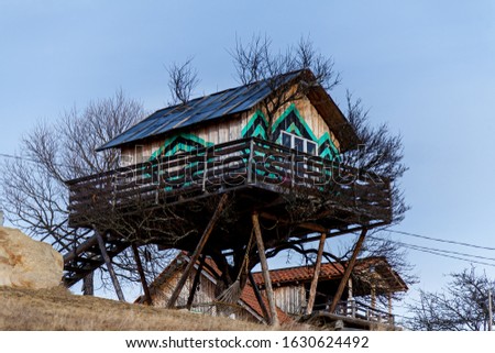 An amazing treehouse with bright decorative elements on the walls and a big white window on the background of a blue sky on an autumn day.