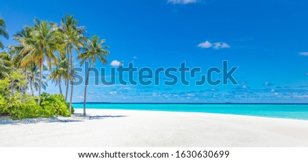 Beautiful tropical beach banner. White sand and coco palms travel tourism wide panorama background concept. Amazing beach landscape. Boost up color process. Luxury island resort vacation or holiday
