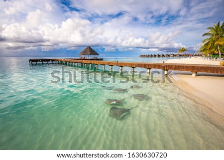 Fantastic beach landscape with sting rays and sharks in green blue lagoon in luxury island resort hotel, Maldives beach and wildlife. Tropical paradise view and summer vacation or tourist destination