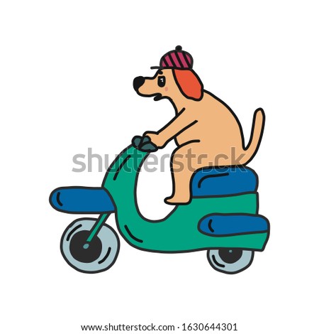 funny dog in a bright cap rides a scooter. vector illustration. isolated on a white background. suitable for children's items and posters.