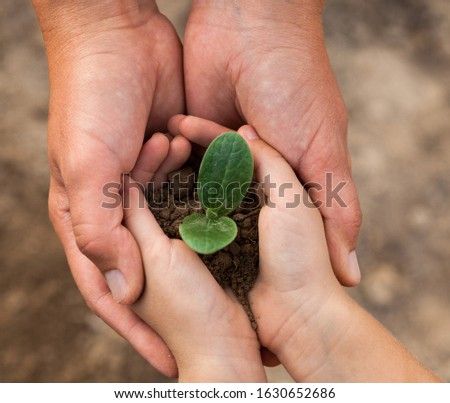Kid's and grown-up's hands holding a young plant. New life. Parents and kids. Family. Love. Care, support and protection concept. 