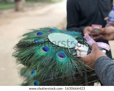 Peacock feathers selling in an open market of Bangladesh