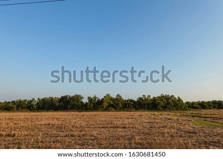 Pictures of holiday views with beautiful white clouds in the orange sky at sunset in the rice field background.