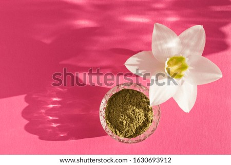 natural henna powder and white flower in a female hand on a pink background. Concept female beauty and cosmetology. Eyebrow and hair coloring.