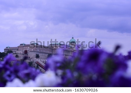 Exterior view of Hungarian National Gallery located in Buda Castle, with purple and white pansies flowers in foreground in Budapest, Hungary.