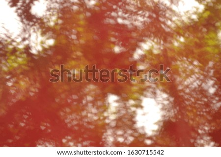 Abstract red image, Blur style pictures, Images for backgrounds.