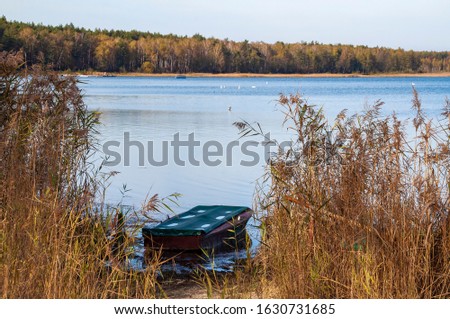 Little rowboat moored in the rushes