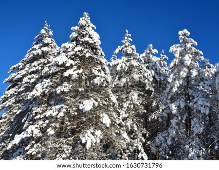 Winter landscape in Shefford mountain, Eastern township  Quebec, Canada