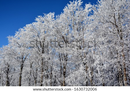 Winter landscape in Shefford mountain, Eastern township  Quebec, Canada