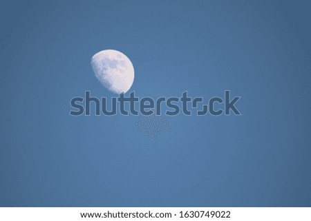 the moon over Fort Wayne