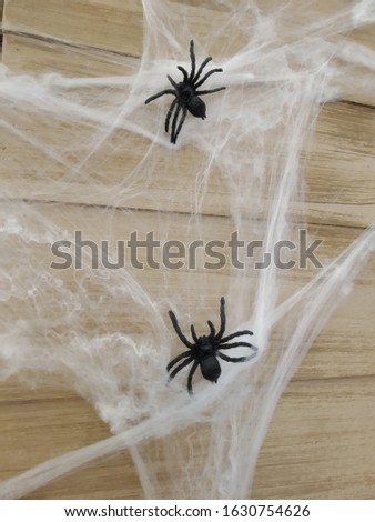Halloween day with spiders on the web