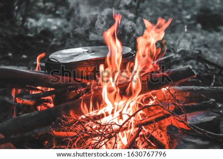 
a travel pot basks on a fire in the forest