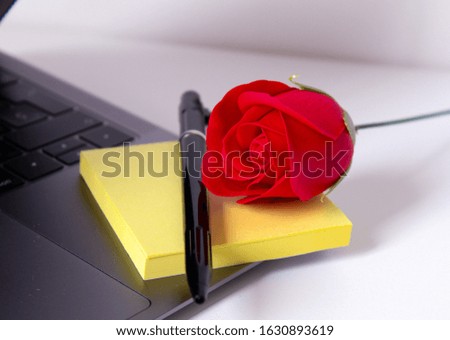 Valentine's scene with a red rose to give to your partner or special person
