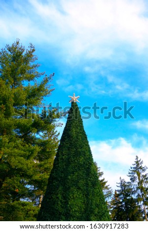 Artificial Christmas tree with a star on top of a park