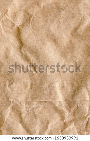Grocery Bag Brown Kraft Paper Crumpled Mottled Grunge Texture Detail