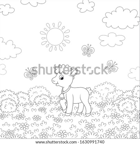 Small butterflies flitting around flowers and a cute little limb walking on grass of a pretty summer field on a beautiful sunny day, black and white vector cartoon illustration