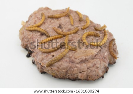 Burger with endible worm in white background