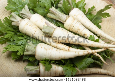 heap roots parsley with leaves on wooden background Royalty-Free Stock Photo #1631098498