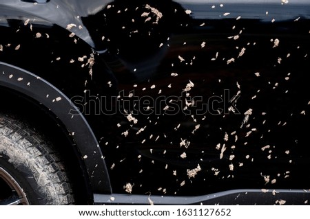 Dried mud stain on car body.