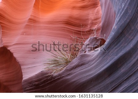 Textures and light in owl canyon in Page AZ
