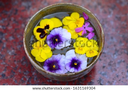 Pansy flowers with water bowl  cloudy day