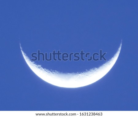 The moonlight and dark blue sky in the winter at night. The beauty of nature concept background.