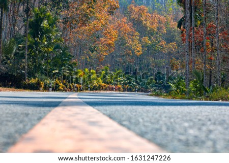 Beautiful road with Fall colors in the trees