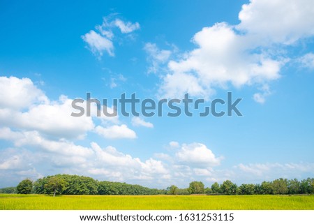 blue sky and white clouds. Freshness of the new day. Bright blue background. Relaxing feeling like being in the sky. Royalty-Free Stock Photo #1631253115
