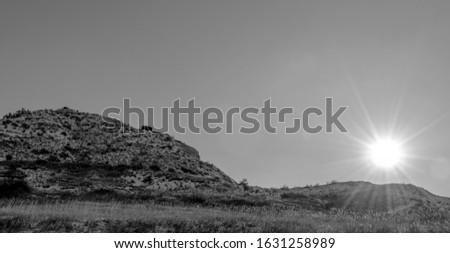 Bison, mountain,sun  Picture was taken In North Dakota