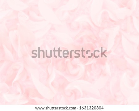 Romantic concept , soft pink abstract background