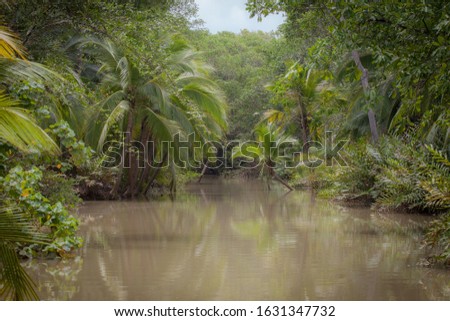 Tropical Mangrove with Palm Trees.