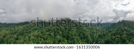 An aerial view of wild Borneo Rainforest jungle in Sabah, Malaysia.
