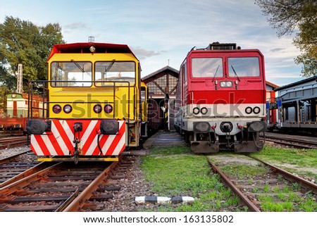 Two trains in depot at a day