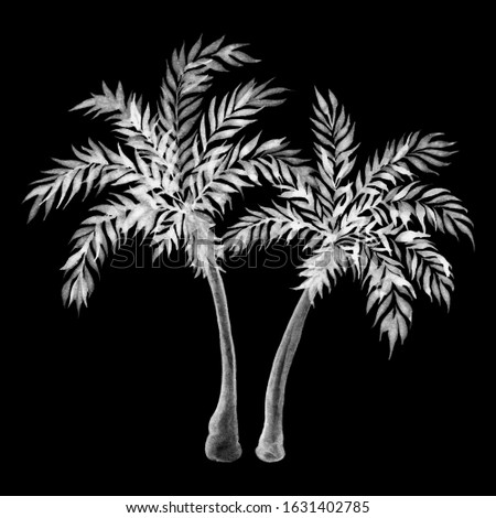 White palm tree isolated on black background. Watercolor illustration.