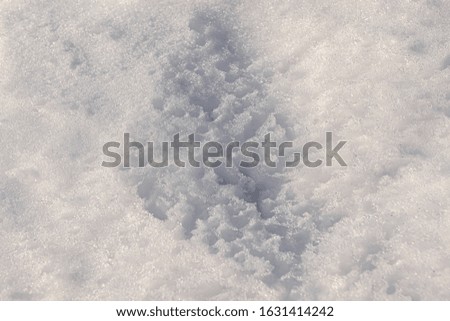 White melting snow closeup as background