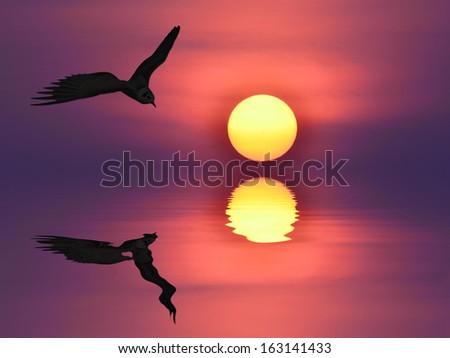 A Tern Flying Over Sea During a Sunset reflected in water 
