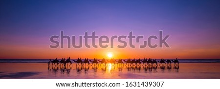 Sunset, Camels, Cable Beach, Broome, Western Australia, WA, Australia  Royalty-Free Stock Photo #1631439307