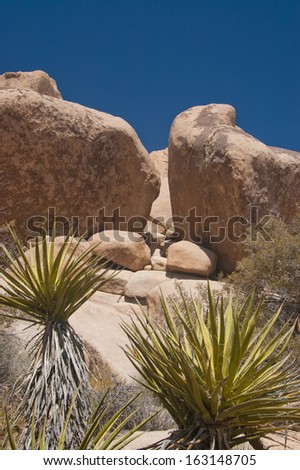 Joshua Tree National Park landscapes, San Bernardino County, California, USA