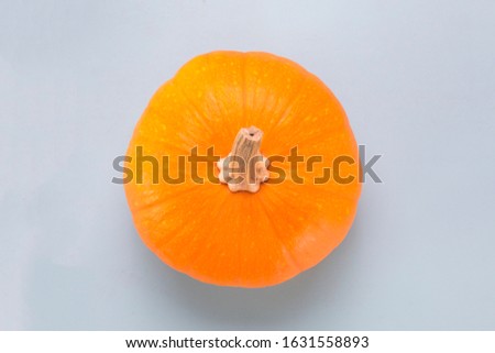 Small orange pumpkin in isolated background