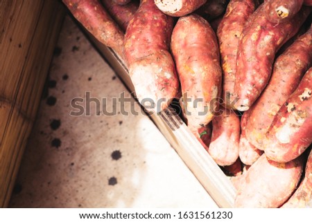 Box of freshly harvested raw sweet potato or sweetpotato. This tubers are rich in vitamins, minerals, antioxidants, and fiber, and are easy to cook. Copy space. Selected focus.