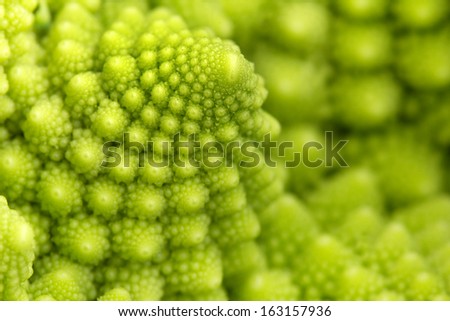 detail of texture of a romanesco broccoli