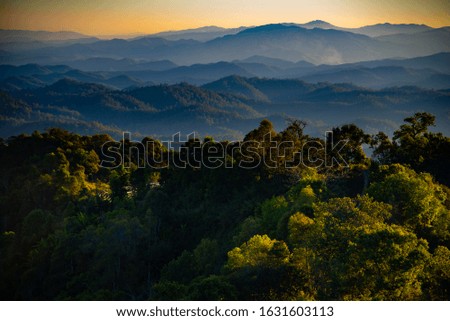 Views, mountains, forests, with beautiful light