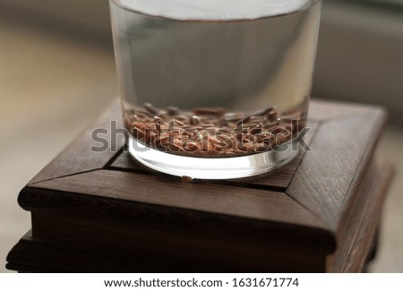 Flax seeds are soaked in a glass with water for germination