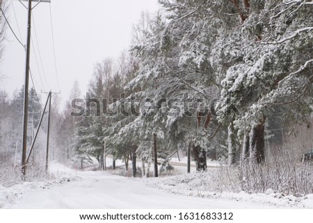 Country road, snowy trees. Finland, Northern Europe. Winter countryside landscape