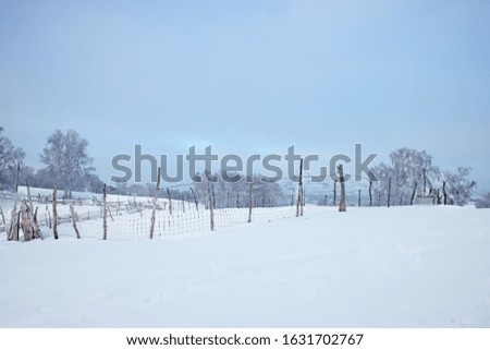 This is a picture of snowstorm./ This is a picture of a snowstorm on a winter farm in Mongolia.