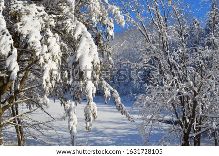 Winter landscape in Bromont mountain, Eastern township  Quebec, Canada